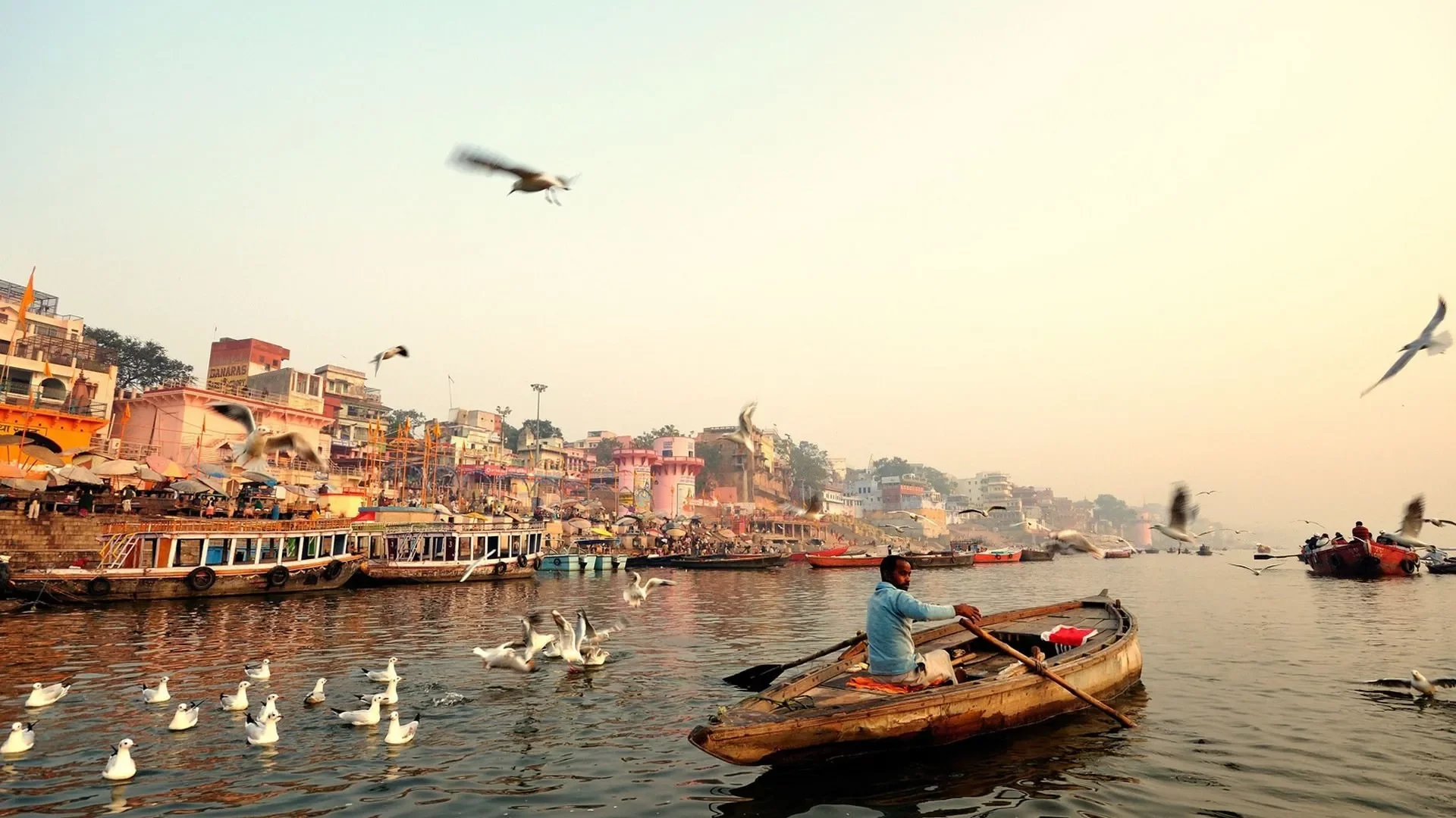 Hand-Rowed Heritage Boat Experience